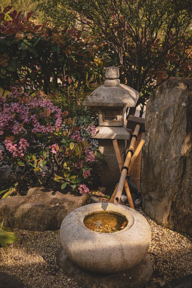 Créer un jardin à thème méditerranéen tropical ou zen